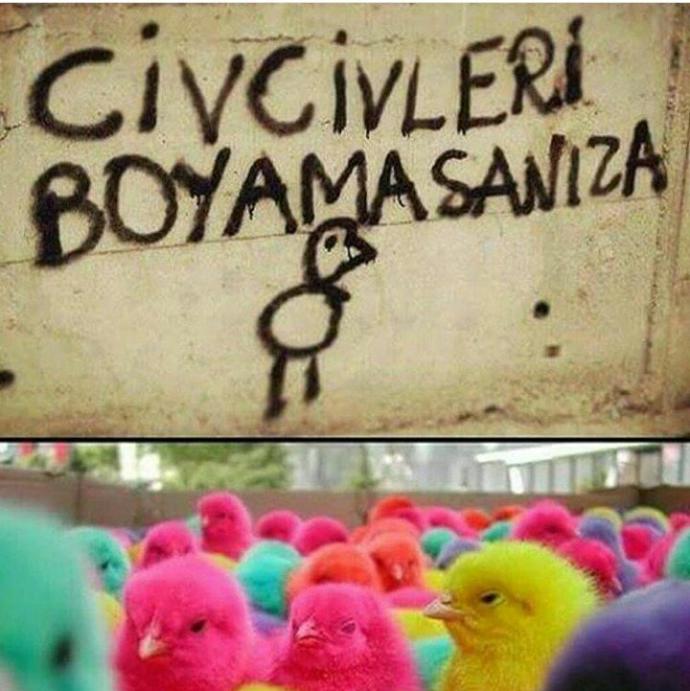 Elden gidiyeah dediğiniz şeyler nelerdir?