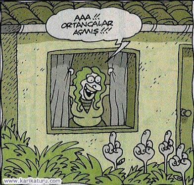 Sevginiz bir çiçek olsaydı ne olurdu?