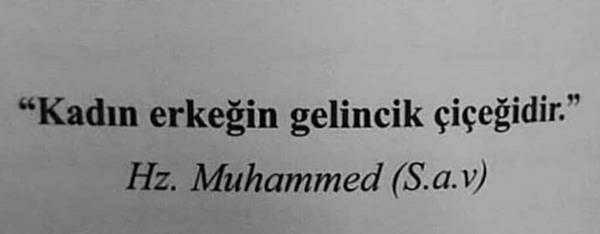 selam. KS. Kadın Erkeğin nesidir?