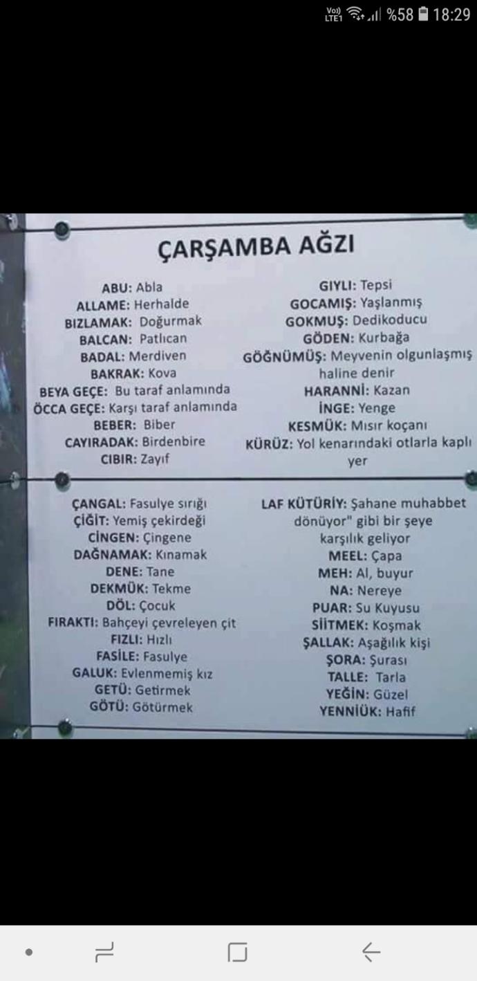 Bu şiveyi bilenler  var mı 😎😁?