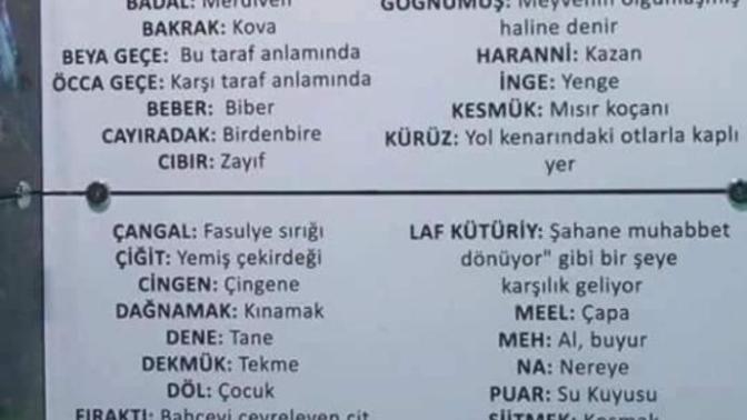 Bu şiveyi bilenler  var mı 😎😁?