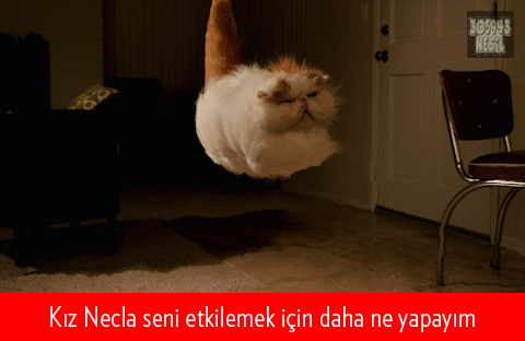 Sevgilim aslında acımasız bir psikopat olduğumu bilmiyor. Evlendikten sonra söylemeyi düşünüyorum. Sizce şimdi mi söyleyim... 😐?