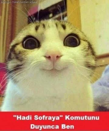 Sevgilim aslında acımasız bir psikopat olduğumu bilmiyor. Evlendikten sonra söylemeyi düşünüyorum. Sizce şimdi mi söyleyim... 😐?