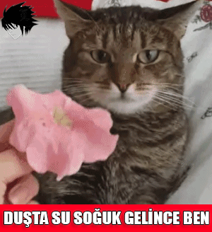 Sevgilim aslında acımasız bir psikopat olduğumu bilmiyor. Evlendikten sonra söylemeyi düşünüyorum. Sizce şimdi mi söyleyim... 😐?