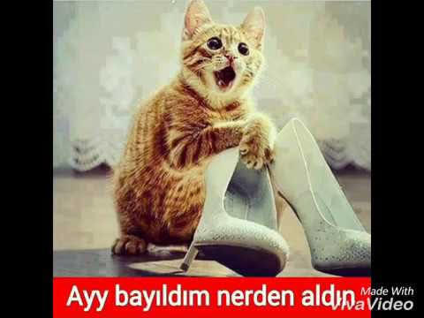 Sevgilim aslında acımasız bir psikopat olduğumu bilmiyor. Evlendikten sonra söylemeyi düşünüyorum. Sizce şimdi mi söyleyim... 😐?
