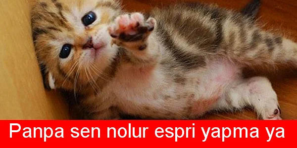 Sevgilim aslında acımasız bir psikopat olduğumu bilmiyor. Evlendikten sonra söylemeyi düşünüyorum. Sizce şimdi mi söyleyim... 😐?