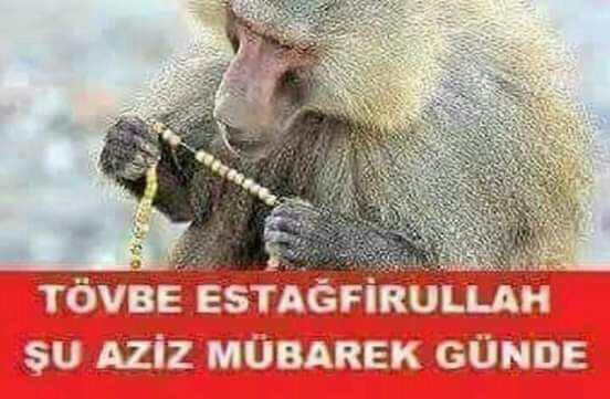Doggy pozisyonunu çekici kılan detaylar nelerdir?