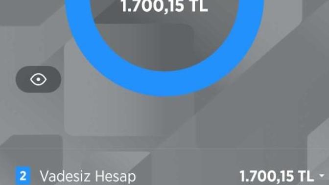şu an cebinizde veya hesabınızda ne kadar para var?
