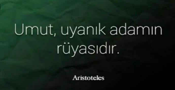 Aristoteles; 
