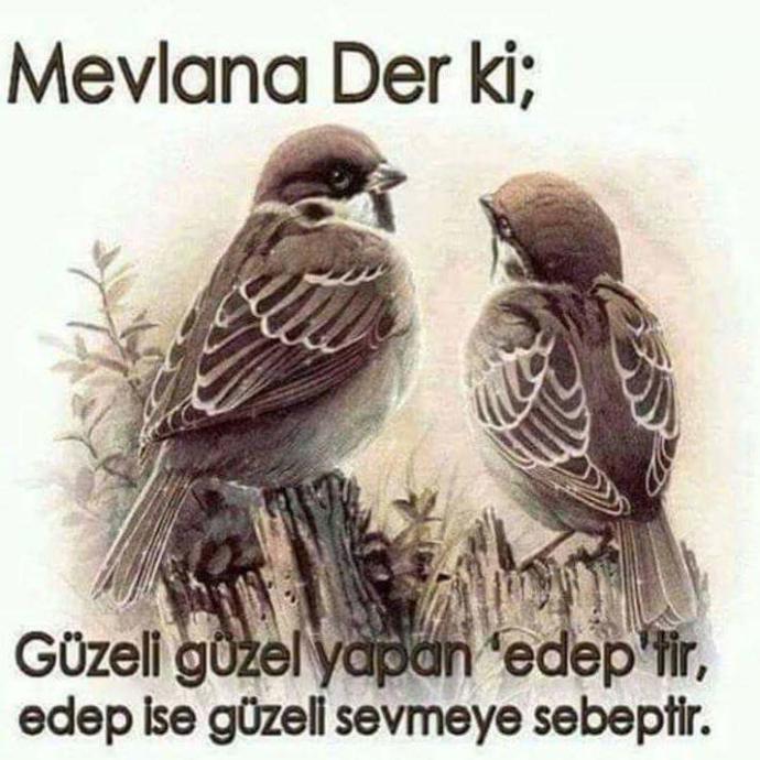 Hayatınızda hiç bir kadını üzdünüz mü?