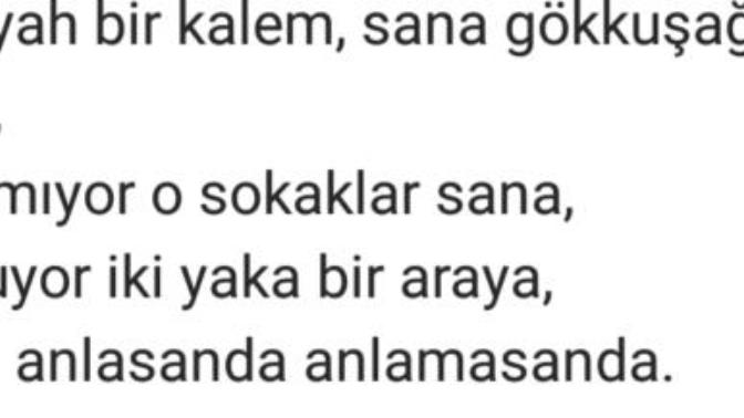 Yorum sizin ne demek istiyor?