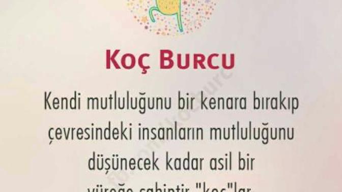 Koc burcu erkeği desek?