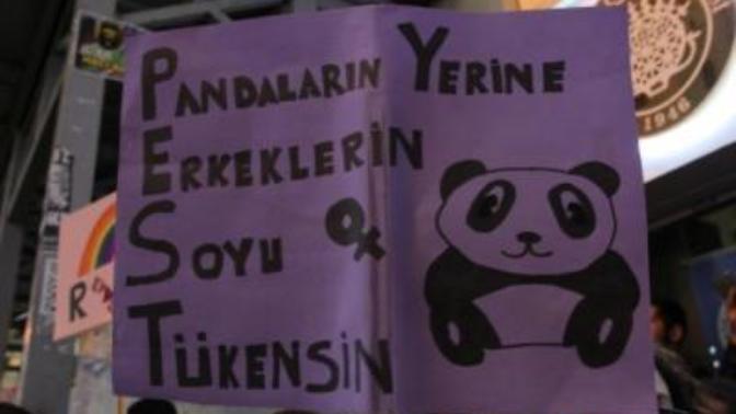 Sizce feministler neden erkek düşmanıdır, feministler arkadaş/sevgili olur musunuz?
