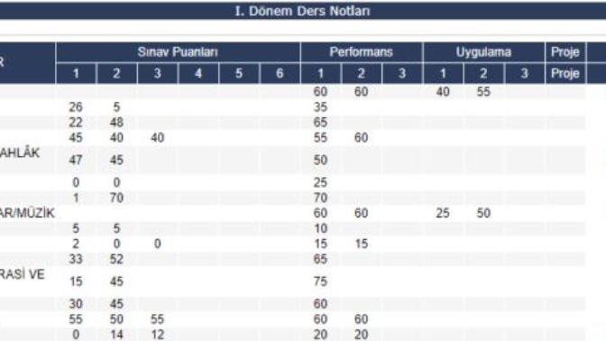 E okul notlarımı ifşalıyorum Bölüm 6:Lise 1 notları! Siz de 9. sınıf notlarınızı atın kapıştıralım?