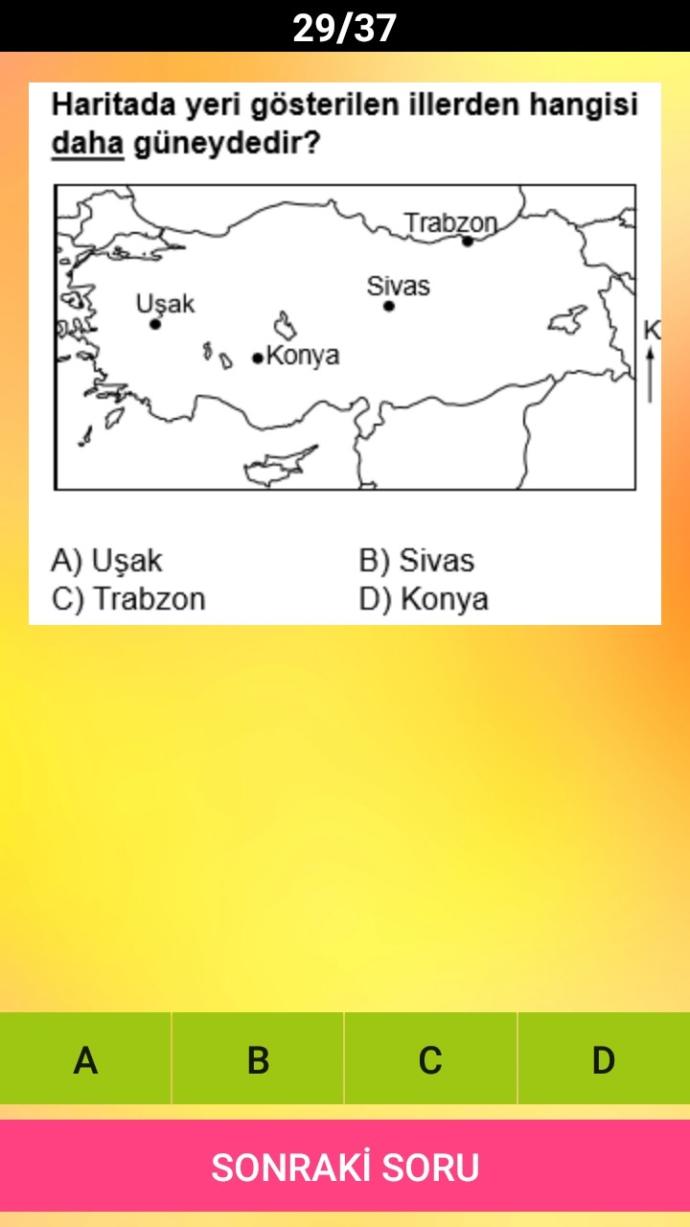 Ehliyet sınavında böyle sorular soruluyormu?