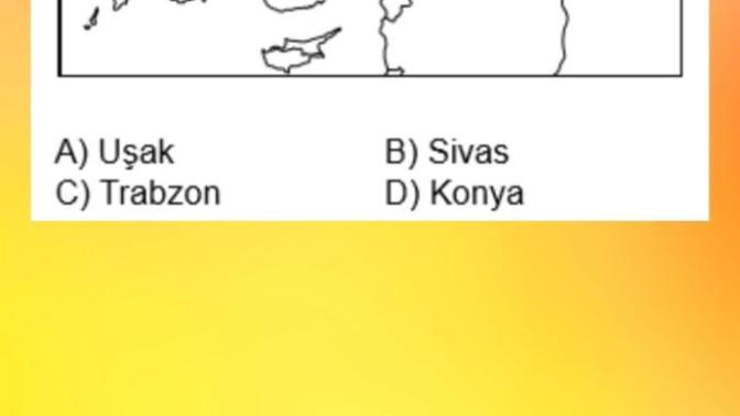 Ehliyet sınavında böyle sorular soruluyormu?