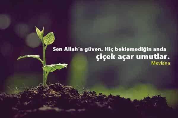 Kimseye güvenim kalmadı. bu güven nasıl geri gelir?