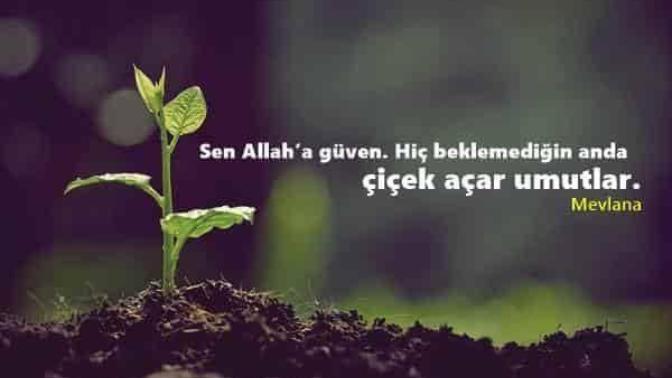 Kimseye güvenim kalmadı. bu güven nasıl geri gelir?