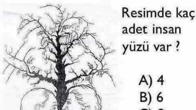 Ohaa artık resimde kaç insan yüzü var?