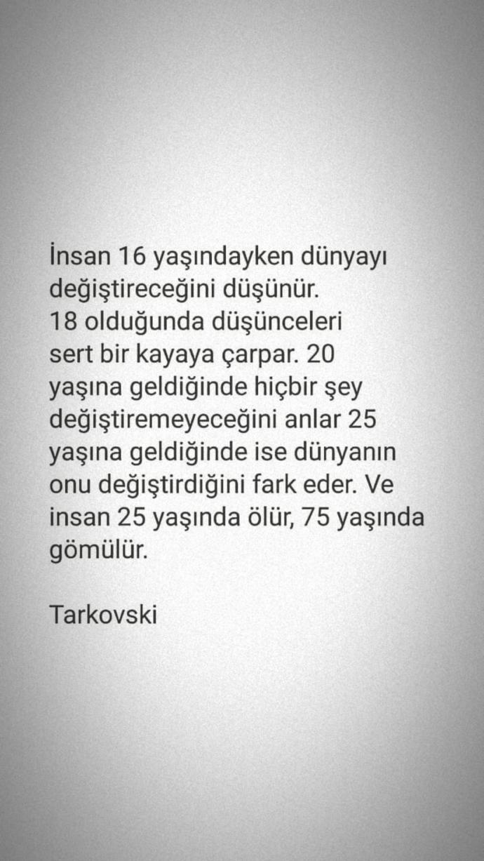 Burada şair ne anlatmaya calismis? zeki ks’canlar gelsin?
