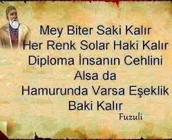Burada şair ne anlatmaya calismis? zeki ks’canlar gelsin?