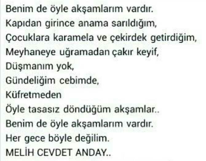 Melih Cevdet Anday, 