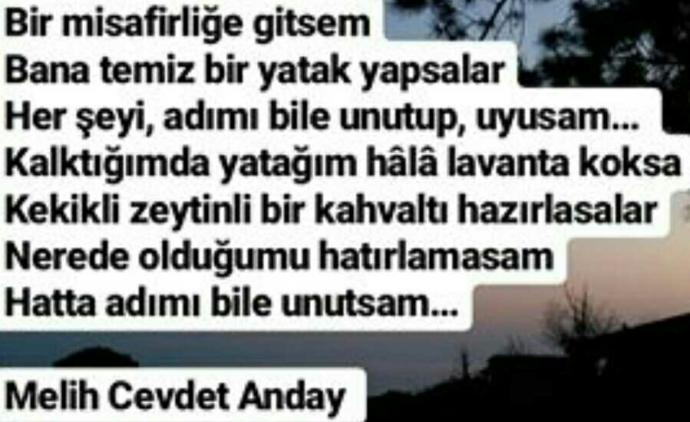 Melih Cevdet Anday, 