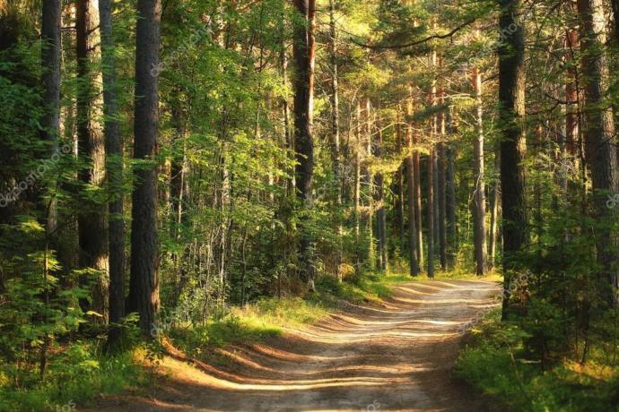 Üç vakte kadar fal hediyen var! Senin burcuna en huzur veren manzara hangisi?