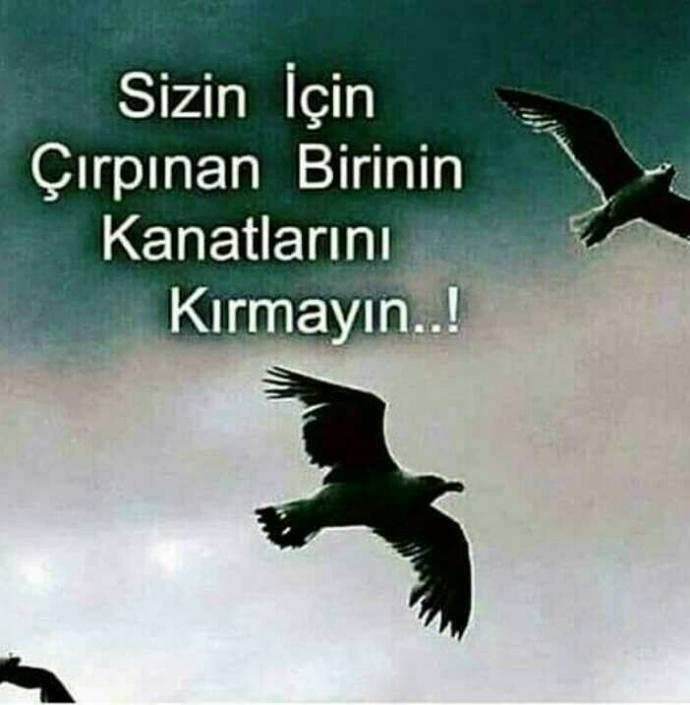 Sizin için çırpınan birinin kanatlarını kırdınızmı?
