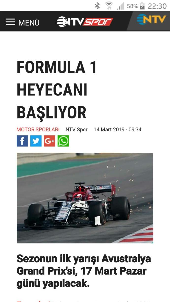 Formula 1'e ilgi duyan var mı? Favori pilot ve takımınız kimdir, nedir?
