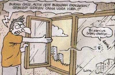 En saf hayvan sizce hangisi?