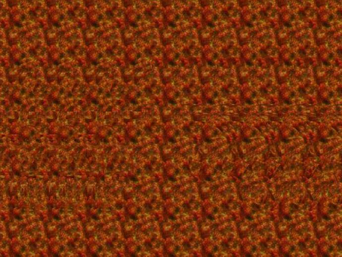 Stereogram'ı biliyor musunuz?