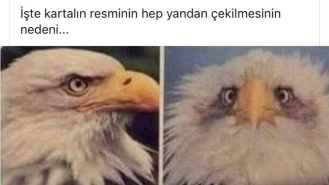 Herkes görünmesini istediği yüzünü gösteriyor özellikle flört yapıp sevgili ayağına yatanlar öyle değil mi?