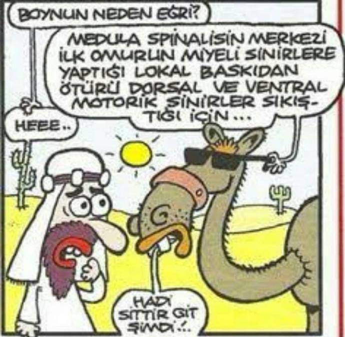 Duyduğunuz gördüğünüz, size çok ilginç gelen hastalıklar nelerdir?