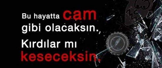Başkalarının zavallılığına bakıp kendi haline şükredenler hakkında ne düşünüyorsunuz?