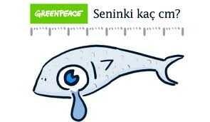Seninki kaç santim?