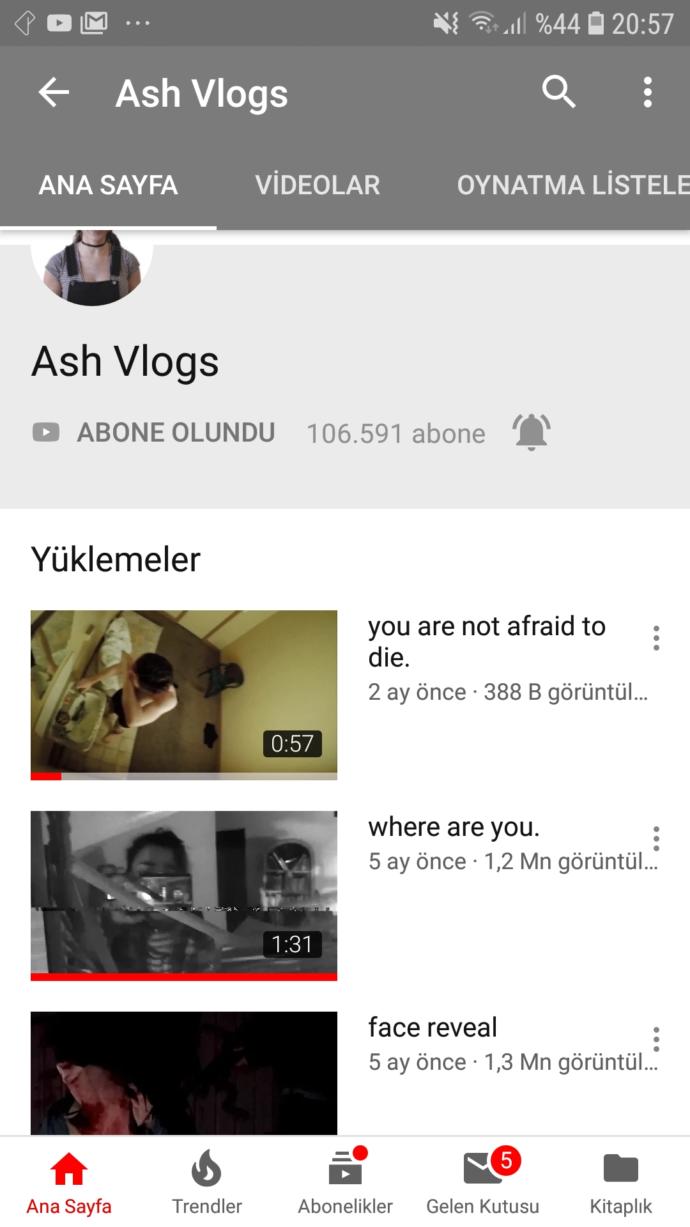 Youtubede ash vlogs adlı kanaldan haberi olan var mı çok acayip videolar var ve açıklamasındaki linkler korkunç?