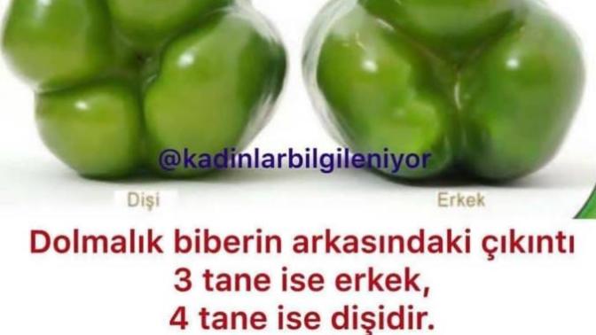 Dolmalık biber alırken çıkıntılarının ne anlama geldiğini bilerek mi alırsınız?