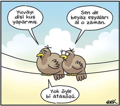 Yuvayı yapan dişi kuşsa, yıkan genelde kim oluyor?