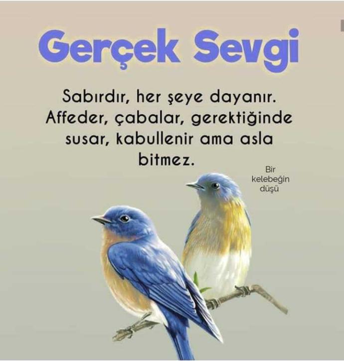 Sizin için gerçek sevginin tanımı nedir?