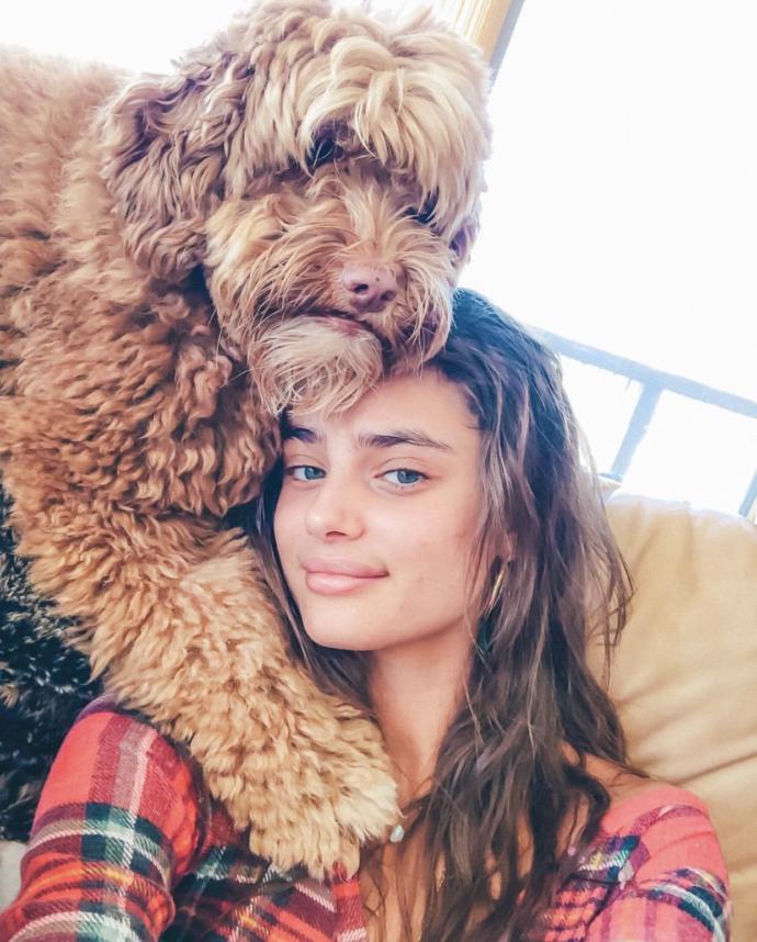 Sizce Taylor Hill güzel mi ?