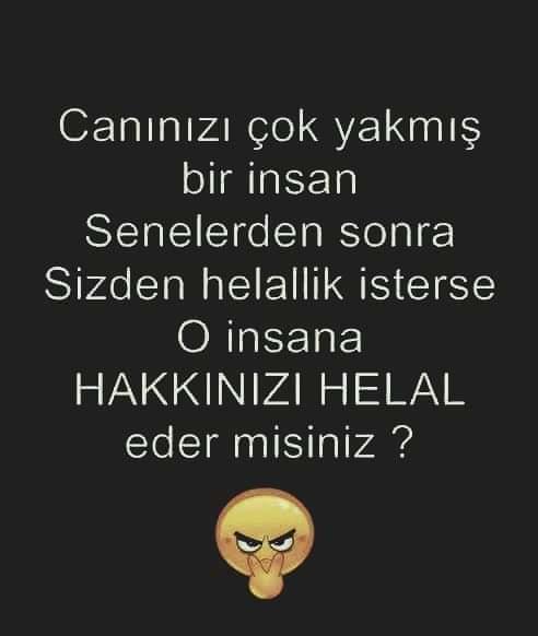 Canınızı çok yakmış bir insan Senden daha seneler sonra helallik istese verirmisiniz?