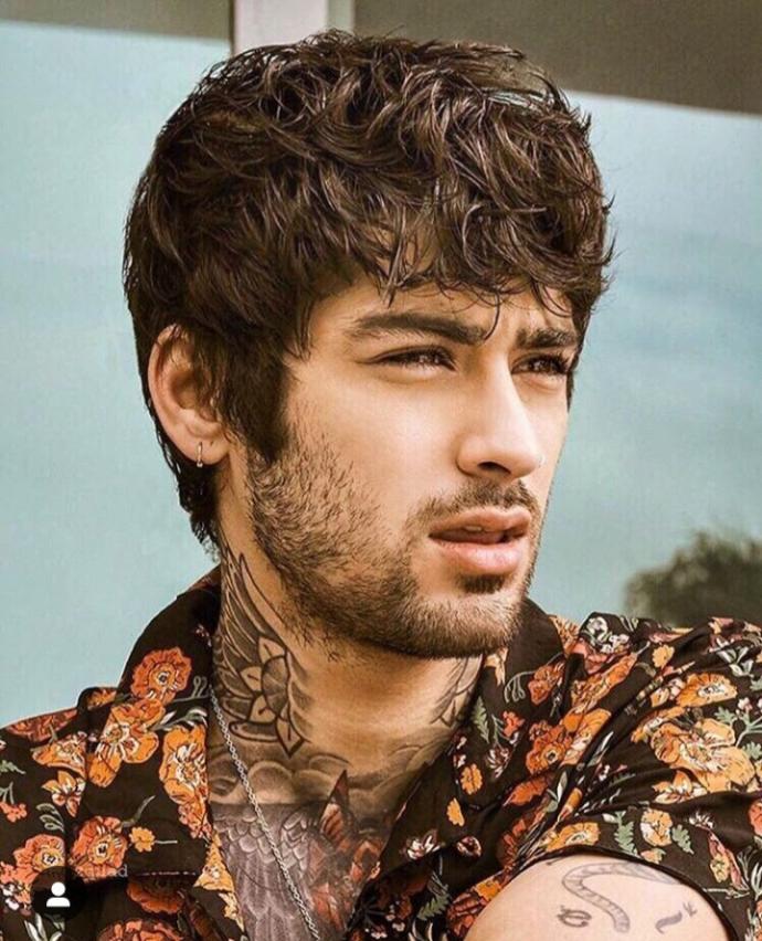 Zayn nasıl sizce?