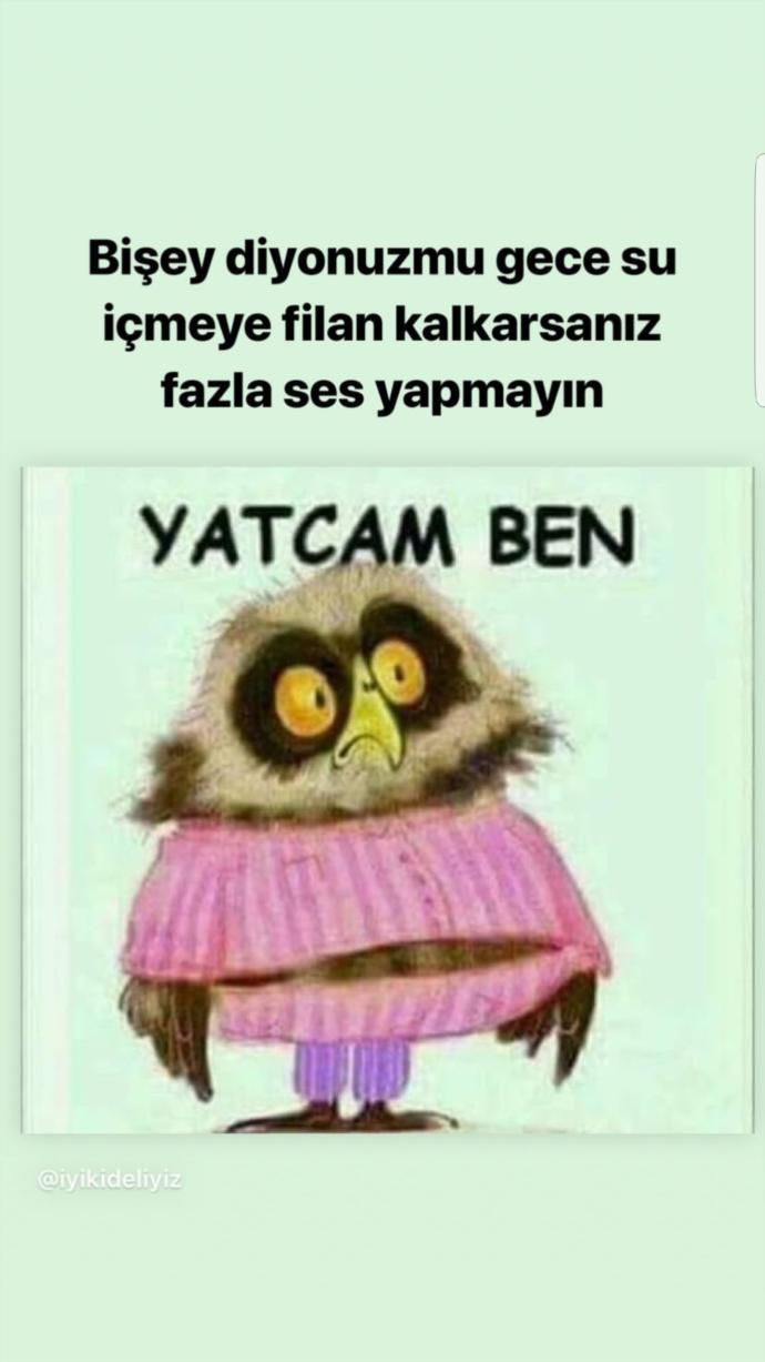 İyi geceler mi?
