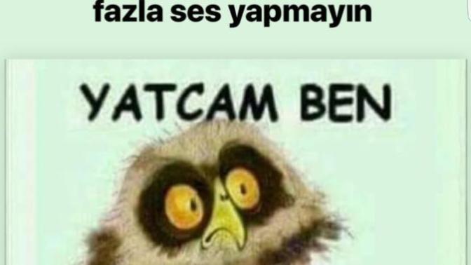 İyi geceler mi?
