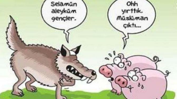 Aşk acı ise sen niye tatlısın?
