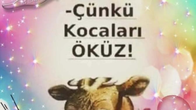 İnekler neden üzgün Bakar Canlar?