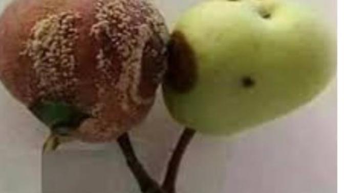 "Bana arkadaşını söyle sana kim olduğunu söyleyeyim." Sözüne katiliyor musunuz?