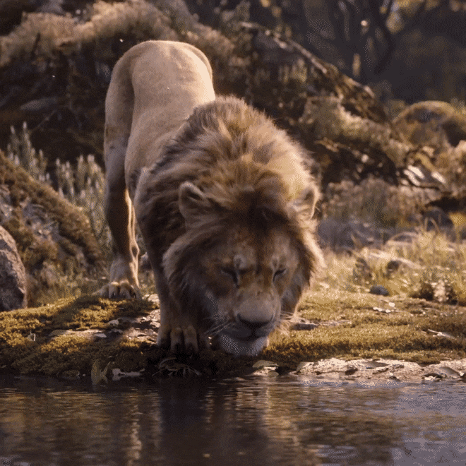Aslan burcu erkeği nasıl kadınlardan hoşlanır?