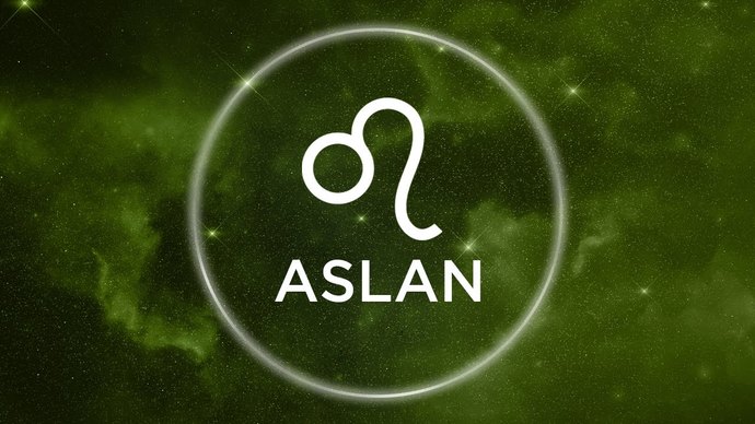 Aslan burcu erkeği nasıl kadınlardan hoşlanır?